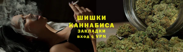 дживик Абинск