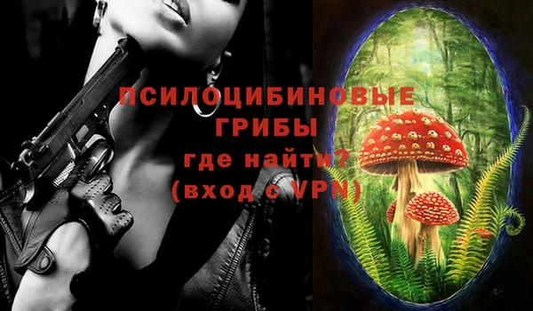 ГАЛЛЮЦИНОГЕННЫЕ ГРИБЫ Алексин
