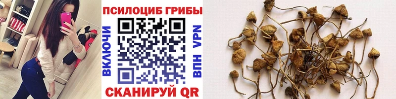 Псилоцибиновые грибы MAGIC MUSHROOMS  Черноголовка 